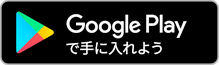 Google Store