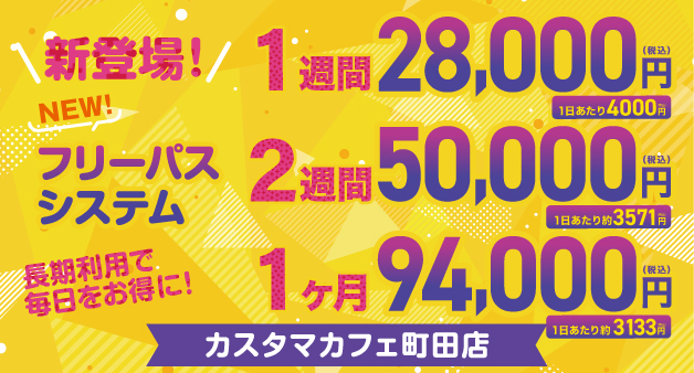 フリーパスシステム導入